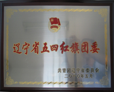 2010年辽宁省五四红旗团委